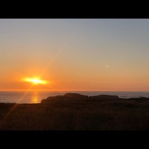 Meet your Posher, Riley